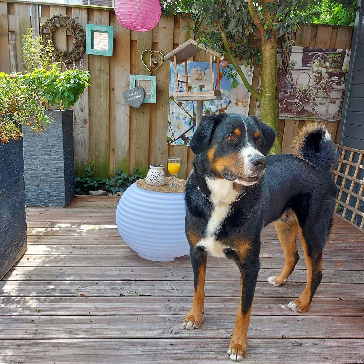 Nikki.Amsterdam The.Pouf  RGB LED & Lautsprecher jetzt kaufen - Aktionskönig